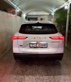 جيتور داشينج